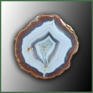 COY413 Coyamito Agate Specimen