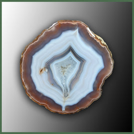 COY413 Coyamito Agate Specimen
