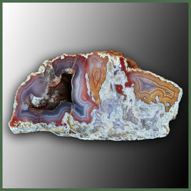 COY417 Coyamito Agate Specimen
