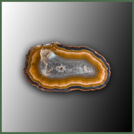 COY426 Coyamito Agate Specimen