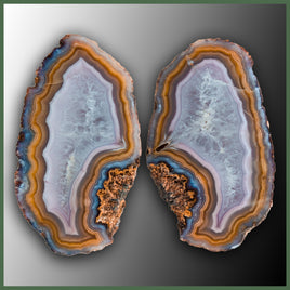 COY428 Coyamito Agate Specimen Pair