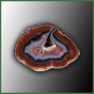 COY433 Coyamito Agate Specimen