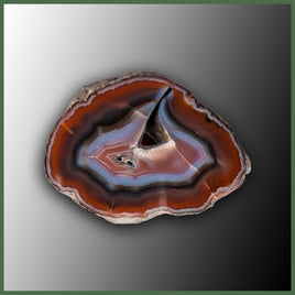COY433 Coyamito Agate Specimen