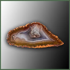 COY436 Coyamito Agate Specimen