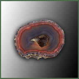 COY437 Coyamito Agate Specimen