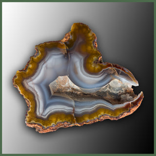 COY439 Coyamito Agate Specimen