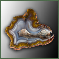 COY439 Coyamito Agate Specimen