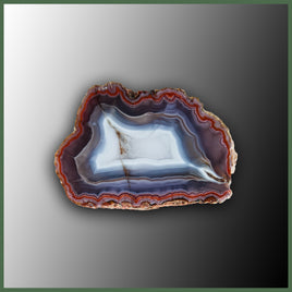 COY441 Coyamito Agate Specimen