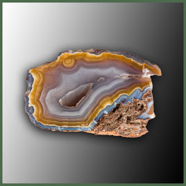 COY442 Coyamito Agate Specimen