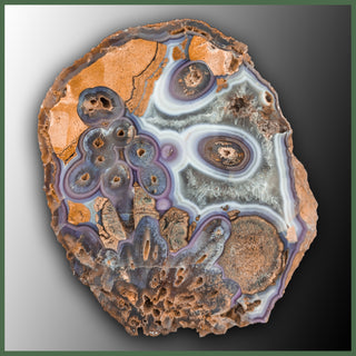 COY446 Coyamito Agate Specimen