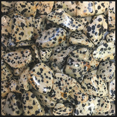 Dalmatian Stone, Tumbled Stone, 1 lb lot