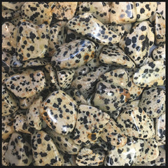 Dalmatian Stone, Tumbled Stone, Individual