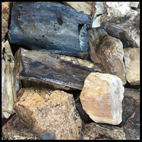 Eden Valley Petrified Wood, Rough Rock, per lb