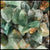 Fluorite, Mexico, Tumbling Rough, 5 lb lot