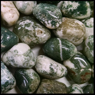 Green Tree Agate, Tumbled Stone, Individual