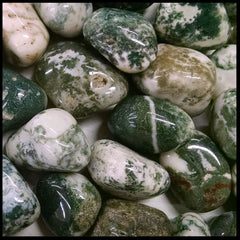 Green Tree Agate, Tumbled Stone, Individual