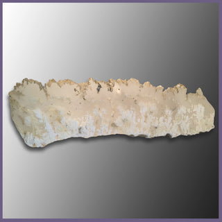 GRPt460 Stinking Water Plume Agate Specimen
