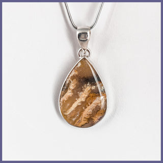 GYP102p Graveyard Point Plume Agate Pendant