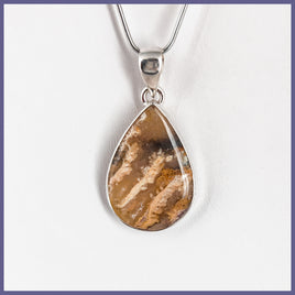 GYP102p Graveyard Point Plume Agate Pendant