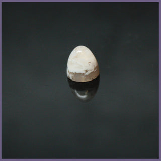 GYP105bc Graveyard Point Plume Agate Bullet