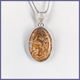GYP105p Graveyard Point Plume Agate Pendant