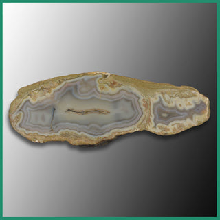 KTA115 Kentucky Agate Specimen