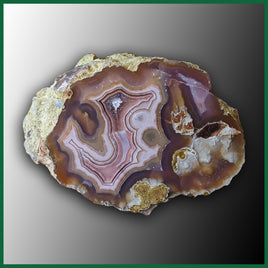 LAG1137 Laguna Agate Specimen