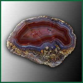 LAG1138 Laguna Agate Specimen