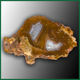 LAG1157 Laguna Agate Specimen