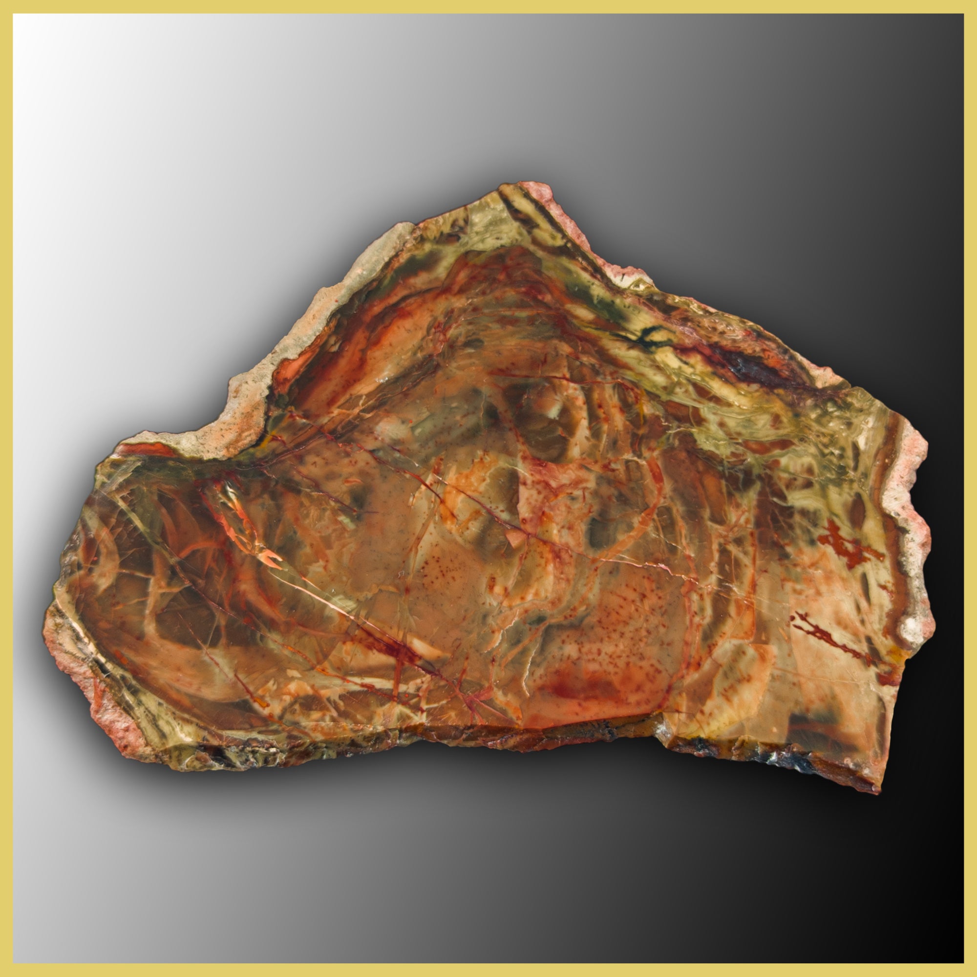 スレンダーストーン MOR434 Morrisonite Slab| The Gem Shop, Inc.