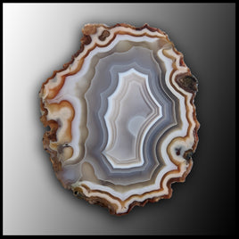 MRC198JR Moroccan Agate Specimen