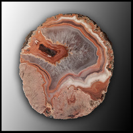 MRC199JR Moroccan Agate Specimen