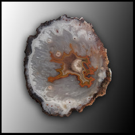 MRC200JR Moroccan Agate Specimen