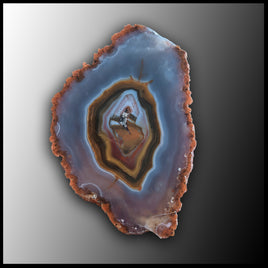 MRC202JR Moroccan Agate Specimen