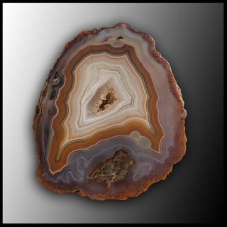 MRC203JR Moroccan Agate Specimen