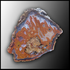 MRC206JR Moroccan Agate Specimen