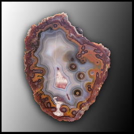 MRC207JR Moroccan Agate Specimen