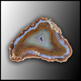 MRC214JR Moroccan Agate Specimen