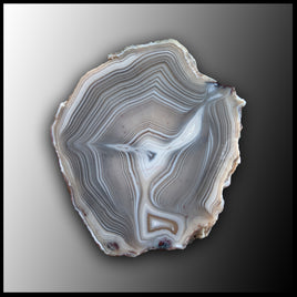 MRC218JR Moroccan Agate Specimen