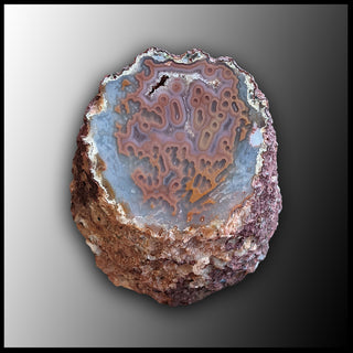 MRC220JR Moroccan Agate Specimen