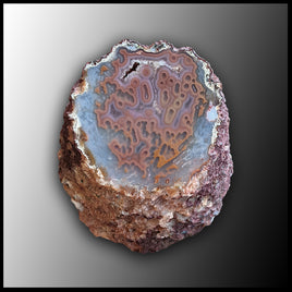 MRC220JR Moroccan Agate Specimen