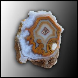 MRC223JR Moroccan Agate Specimen