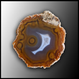 MRC224JR Moroccan Agate Specimen