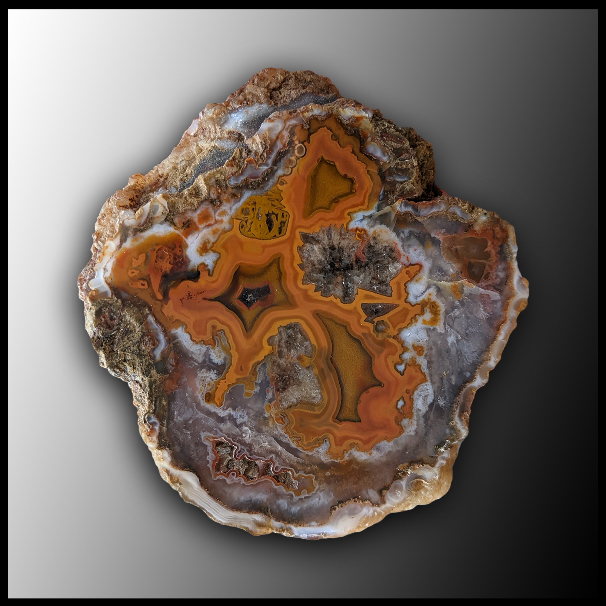 MRC228JR Moroccan Agate Specimen| The Gem Shop, Inc.