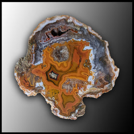 MRC230JR Moroccan Agate Specimen