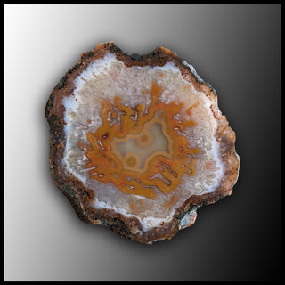MRC231JR Moroccan Agate Specimen