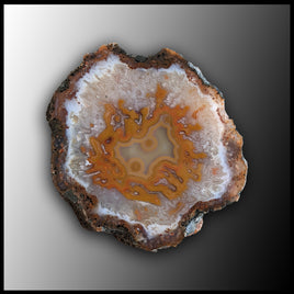 MRC231JR Moroccan Agate Specimen