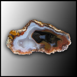 MRC232JR Moroccan Agate Specimen
