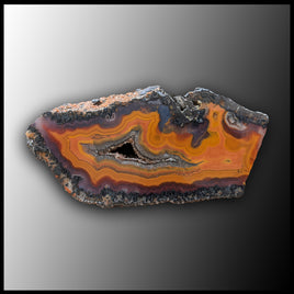 MRC235JR Moroccan Agate Specimen