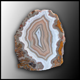 MRC236JR Moroccan Agate Specimen
